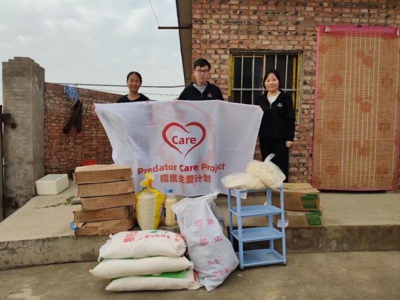 獵鷹關(guān)愛計劃｜暖冬行動，關(guān)愛流浪小動物